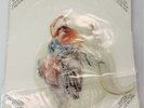 FISH (MARILLION) 'A Gentleman's Excuse Me' 1990 Shaped PICTURE DISC - W28