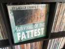 FAT wreck chords NOFX Strung out Hi-Standard No use for a name snuff tilt
