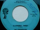 CHANDELIERS .. Blueberry Sweet/ One More Step .. 45 on ANGLE TONE ..... RARE