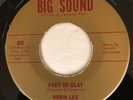 Robin Lee 45 obscure Wisconsin Exotica garage new breed soul  HEAR IT