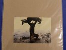 Shellac - Dude Incredible LP Touch and Go