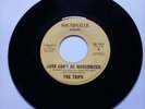 The Trips-Love Can`t Be Modernized-There`s That Mountain 7