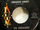 ARROGANTS 45 Canadian Sunset / Mirror Mirror LUTE Doowop ORIGINAL press  Cg 16