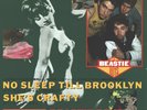 Beastie Boys No Sleep Till Brooklyn 7