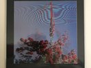 Friendly Fires - Inflorescent (CLEAR VINYL, LENTICULAR COVER) LP Vinyl Record