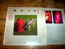 RUSH signals ORIG 1982 U.S. vinyl PROG rock LP in shrink w/ HYPE sticker NM-