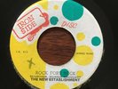 NEW ESTABLISHMENT PRINCE FRANCIS Rock Fort Rock Never Know 7” 45 VINYL