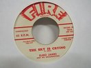 Elmo James-The Sky Is Crying/Held My Baby Last Night-Blues-7