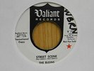 The Elgins 45 Street Scene bw You Found Yourself Another Fool on Valiant Promo