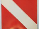VAN HALEN vinyl Diver Down R-144205 Bsk-3677 (1982) Wb Records