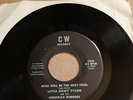 Little Jimmy Tyson And The Highway Robbers 