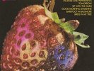 Strawberry Alarm Clock The Best of the Strawberry Alarm Clock  (Vinyl)