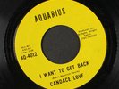 CANDACE LOVE: Never In A Million Years / I Want To Get Back 45 (Sweet Soul)