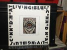 CANNED HEAT - LIVING THE BLUES (ROCK, BLUES ROCK) 2LP'S DOUBLE COVER MADE IN FRA