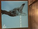 THE RISING TIDE Sunny Day Real Estate Green LP Vinyl 2000 Release