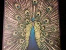 The bluetones. Expecting to fly 12