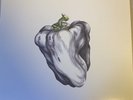 Ween White Pepper 180g White Vinyl LP 2009 Plain Recordings Mang