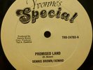 Dennis Brown / Aswad  Promised Land LP US Yvonne's Special N MINT 12