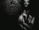 Dark Fortress - Stab Wounds