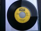 The Losers D.Beat Single Vinyl Kerston something you got/do The Flop nur sin  7