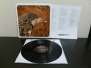 BLACK VINYL - The Heavy Horses - With Darkness in My Eyes