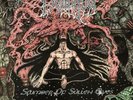 Demigod LP Slumber Of Sullen Eyes Vinyl Drowned Production 1992 Convulse Funebre