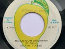 Delano Tucker - Build our Country / Socialist Dub - Mango All Stars - Mango