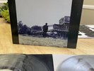 CITY AND COLOUR If I Should Go Before You 2x LP/DL Smoke Vinyl 1st Press