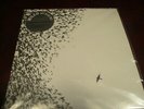 WILCO SKY BLUE SKY 180 GRAM 2007 RELEASE COLLECTORS ORIGINAL MARKETING STICKER