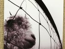Pearl Jam - Vs - Gatefold 12