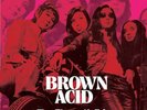 BROWN ACID: THE ELEVENTH TRIP various artists vinyl lp  EZRDR124
