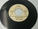 MEGA-RARE Sweet Northern Soul 45..Larry Sanders You're my Girl - Hot Cakes