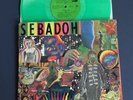 SEBADOH Smash Your Head On Punk GREEN LP Vinyl EX Shrink