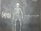 Gojira “The Way Of All Flesh” 2xLP Red Vinyl 1st press Meshuggah Lamb Of God