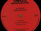 Dancemania Chicago House - DJ Steaw ?– Everydayz EP - Traxx Underground BRAWTHER
