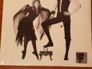 FLEETWOOD MAC Alternate Rumours Vinyl LP RSD 2020 Record Store Day New