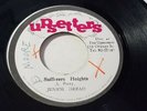 Junior Dread - Sufferers Heights /Reggae 7