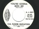 GARAGE, PSYCH, OBSCUE ROCK 45  13th Floor Elevators  Int. Artists  107 *promo*