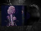 Blut Aus Nord - Hallucinogen Vinyl