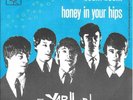 THE YARDBIRDS 45 BOOM BOOM+PS HOLLAND RARE 1965
