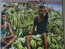 Deep Purple - Bananas LP 2003 Gatefold Rare vinyle   