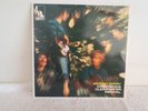 CREEDENCE CLEARWATER REVIVAL - 7