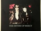 The Sisters Of Mercy - This Corrosion - 12