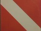 Original Van Halen Diver Down 1982 Record Vinyl Lp Hard Rock, Eddie Van Halen