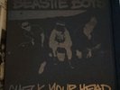 Beastie Boys Check Your Head Vinyl Collectors Edition Boxset Only 2000 Made Rare