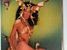 take me home / cher / lp