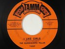 Garage 45 - Surrealistic Pillar - I Like Girls - Tamm - mp3