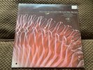 Sealed  Electric Prunes Release Of An Oath The Koi Nidre Reprise 6316