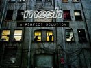 Mesh A Perfect Solution Cd 7