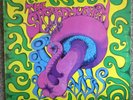 The Sacred Mushroom ? Psych Blues Rock Original 1969 EX+ vinyl